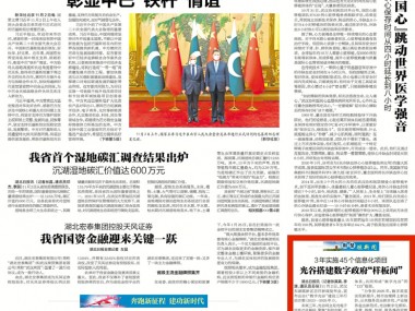 泓谷咨询，引领企业跨越式转型，共筑科技未来新篇章
