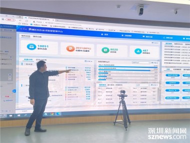 罗湖智付，推动企业数字化转型，塑造行业新潮流