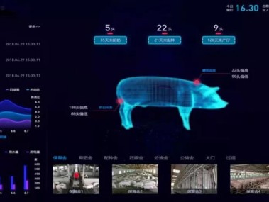 技术革新驱动，养殖技术咨询在养殖业转型升级中的核心作用