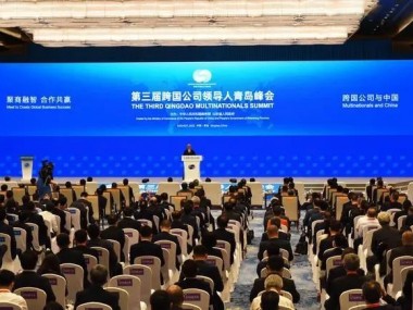 跨国技术咨询服务，新趋势下的合作机遇与挑战