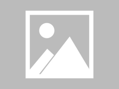 山东矿业技术咨询，推动企业高效发展的智慧引擎