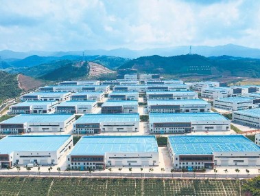 郧西加固技术咨询，保障工程安全，铸就建筑品质新高度