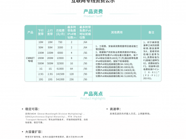 嘉兴网络技术咨询，企业数字化转型性价比之选