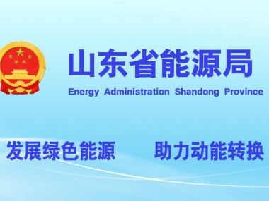 山东国电技术咨询，助力能源行业转型升级的智慧动力源泉
