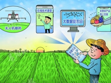 农业发展新动力，农户技术咨询助力生产水平飞跃