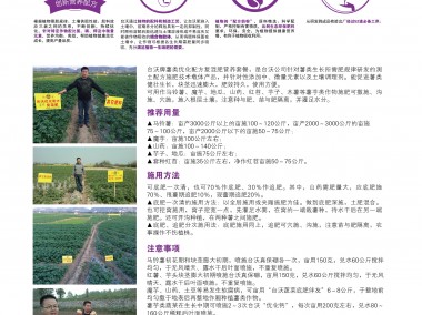 腾沃农业，推动农业现代化，开创发展新篇章