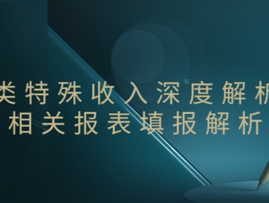 企业技术咨询收入归属解析，多元视角下的收益洞察