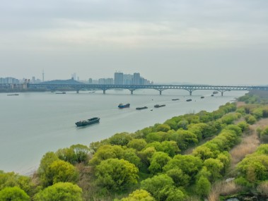 绿色未来，南京环境技术咨询助力企业可持续发展