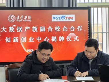 德拓技术咨询,驱动企业创新发展的智慧引擎