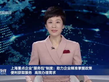 上海专业上门技术咨询，企业服务新潮流