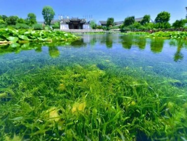 水处理行业可持续发展，水技术咨询的引领力量