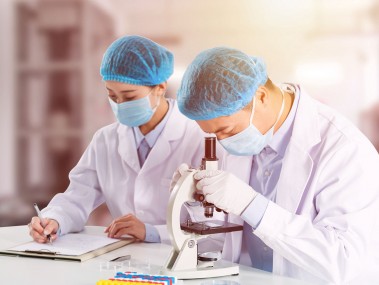生物技术咨询驱动企业科技革新步伐