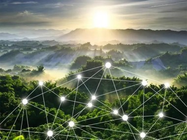 林业可持续发展智慧导航,技术咨询解析关键