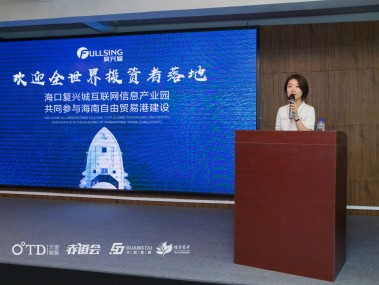 海南技术咨询助力企业创新升级综述